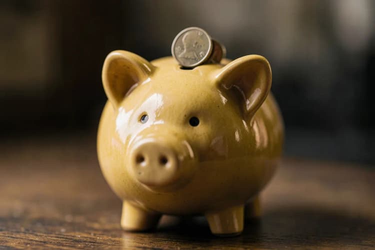 Um cofrinho em forma de porco com moedas entrando nele.