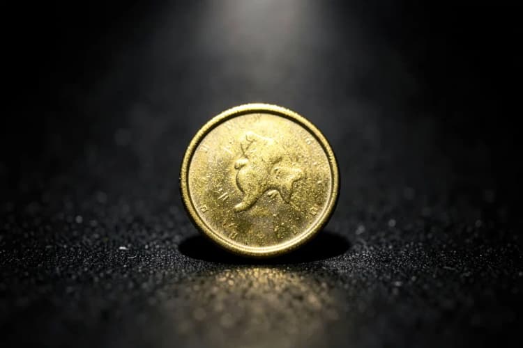 Uma única moeda de ouro brilhante em um fundo escuro.