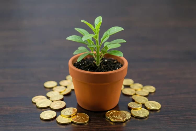 Uma planta crescendo em um vaso sobre uma mesa, com moedas de dinheiro ao redor.